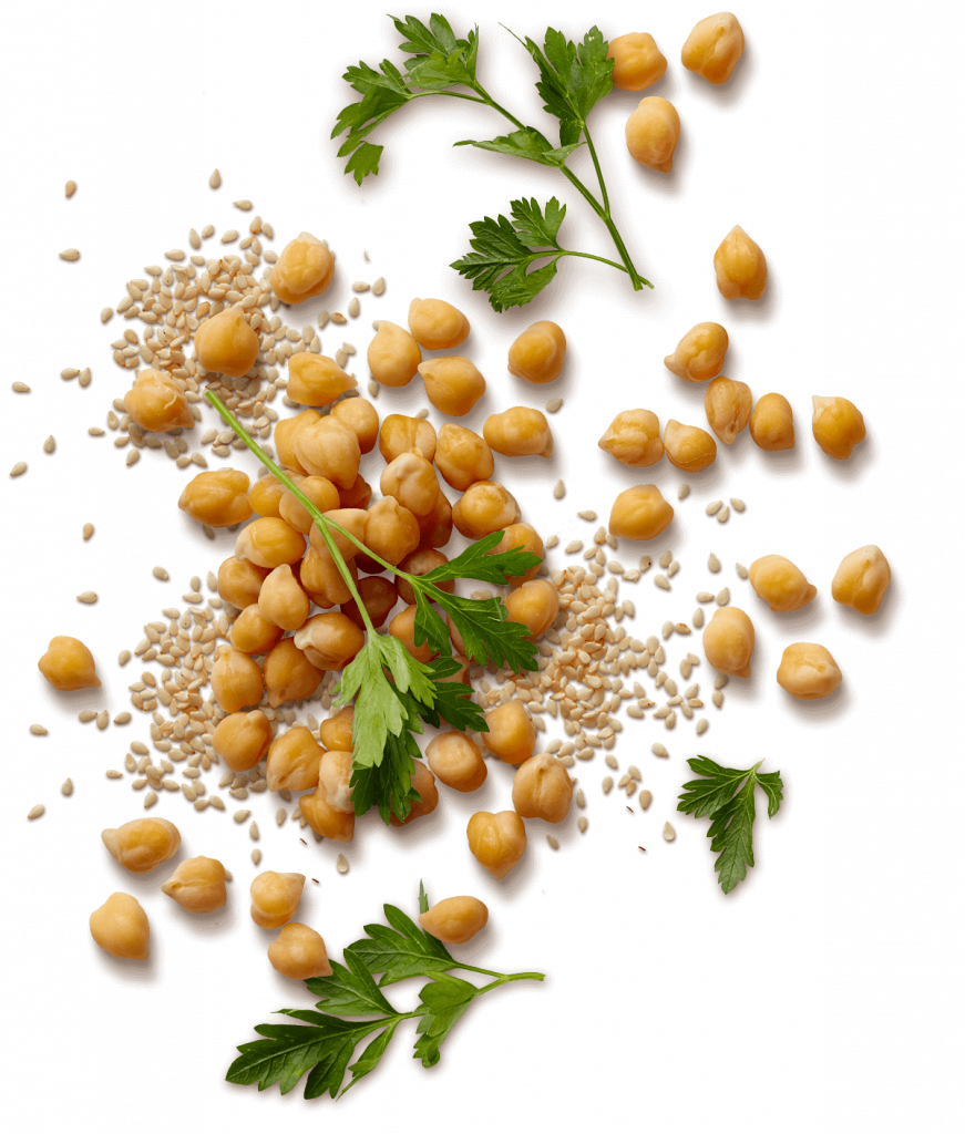 SOMOS IANSA AGRO